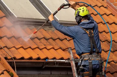 Démoussage et hydrofuge de toiture à Foissy